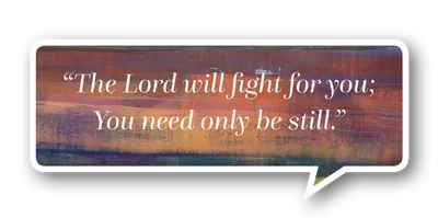 Blog PullQuote Gardening Spirit of God Fellowship Church in South Holland, IL