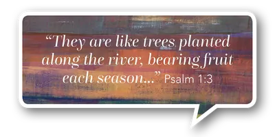 Blog PullQuote Psalms 1 Reflection Spirit of God Fellowship Church in South Holland, IL