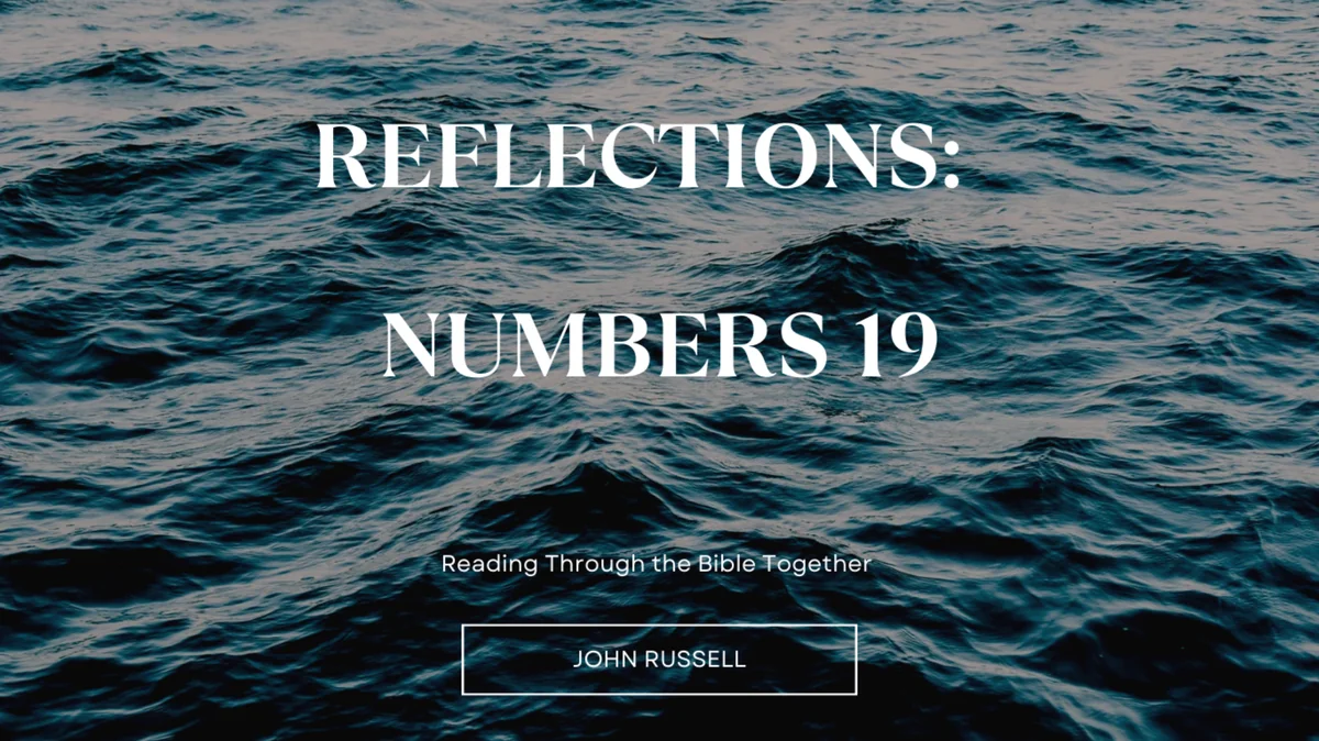 Reflections: Numbers 19 at Spirit of God Fellowship Church in South Holland, IL