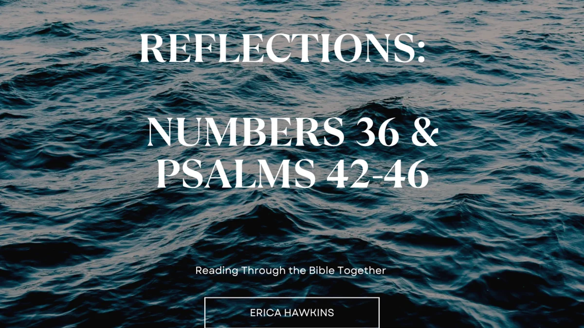 Reflections: Numbers 36 and Psalms 42-26 at Spirit of God Fellowship Church in South Holland, IL
