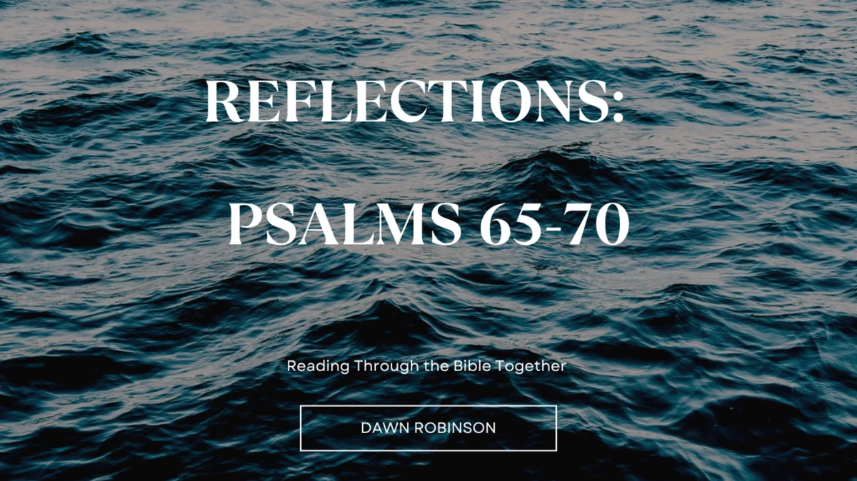 Reflections: Psalms 65-70 Spirit of God Fellowship Church in South Holland, IL