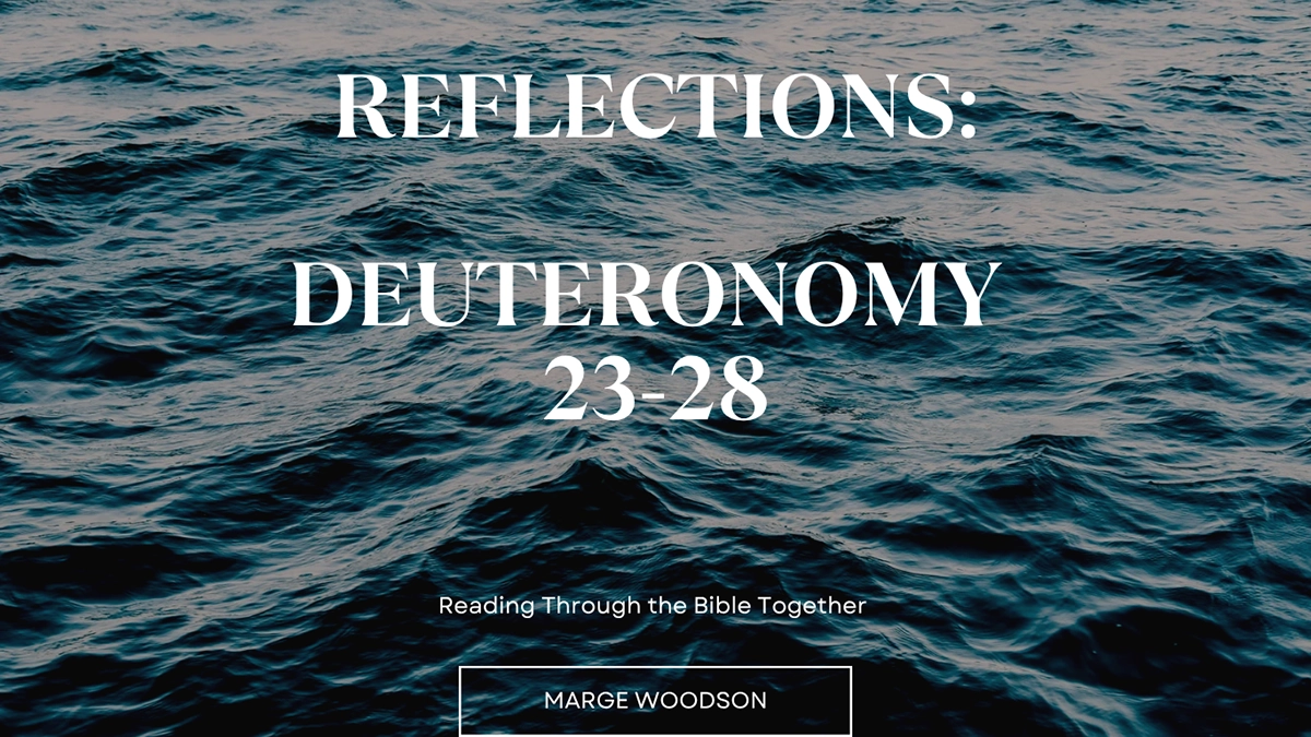 Reflections Deuteronomy 23-28 blog at Spirit of God Fellowship Church in South Holland, IL